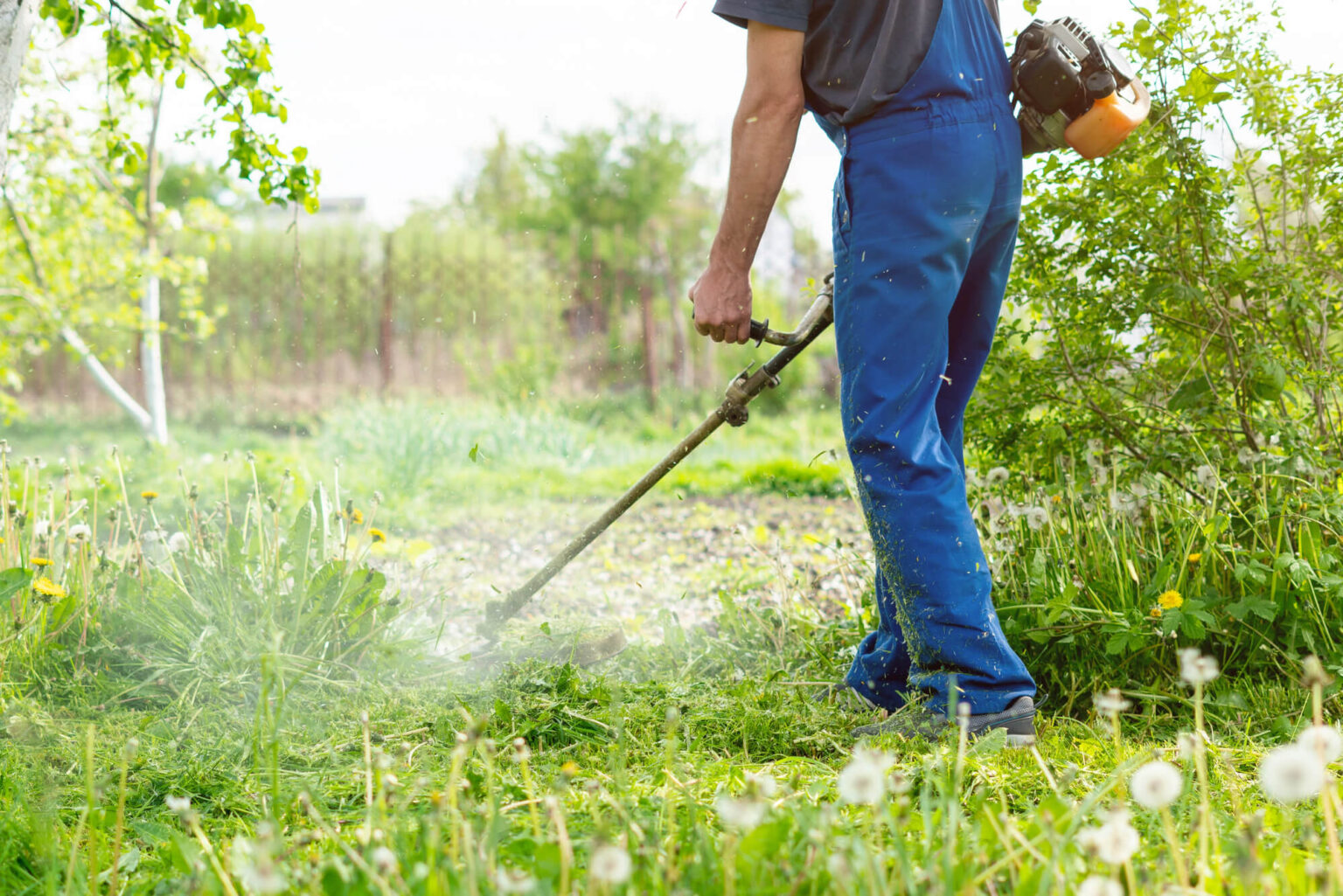 16 Best Lawn Care Franchises [Cost, Fees] - ProfitableVenture