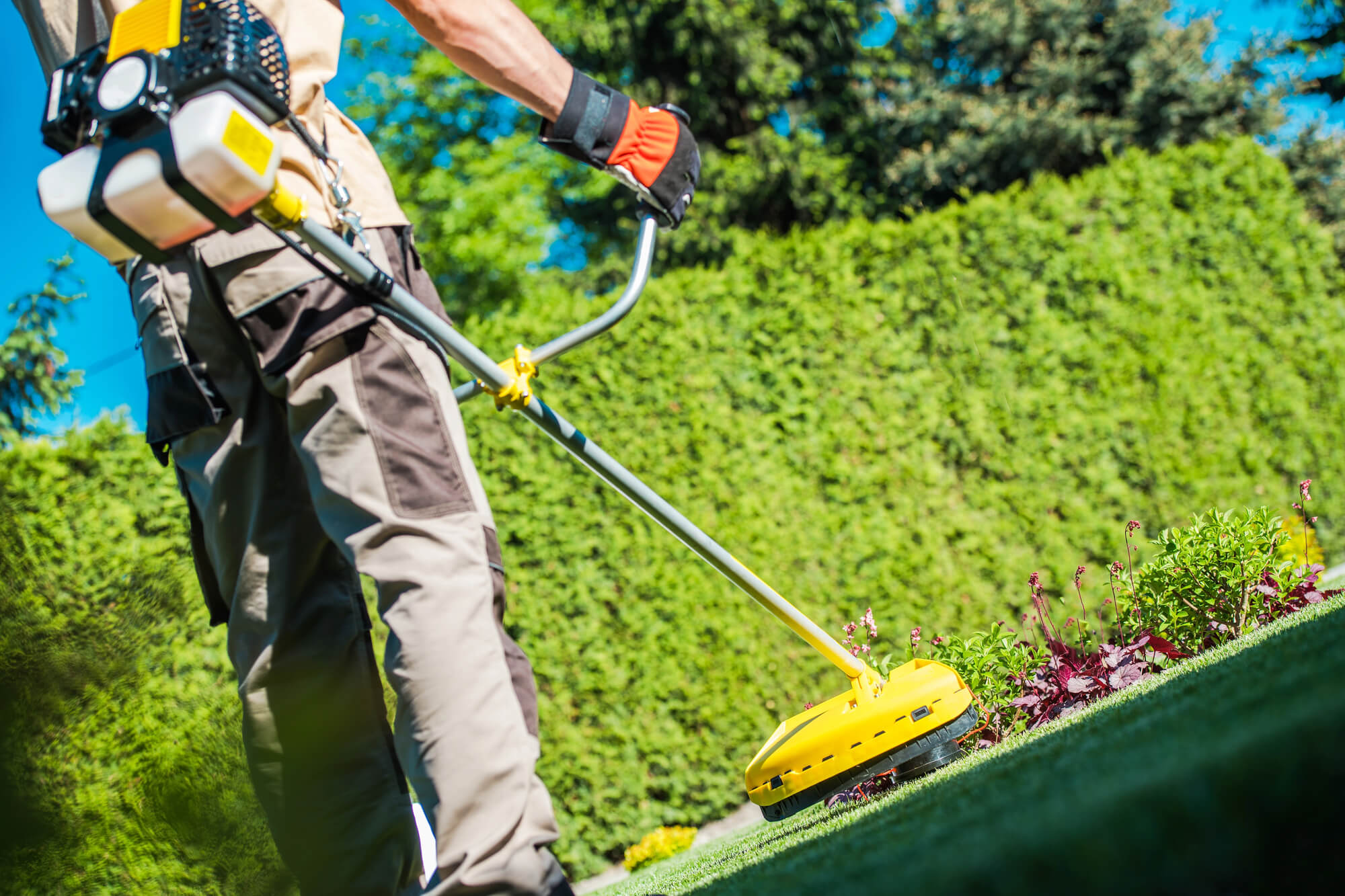 The Complete Guide to Lawn Care Service Franchise Opportunities