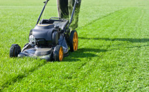 The Complete Guide to Lawn Care Service Franchise Opportunities