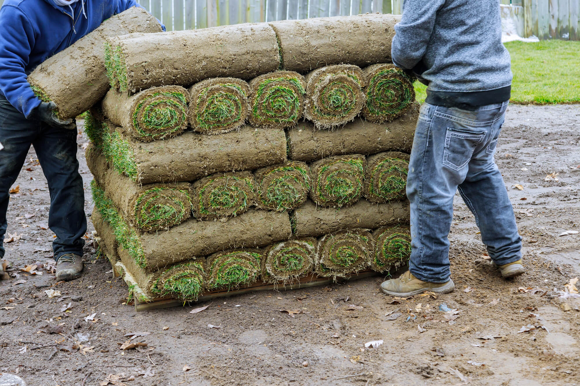 The Complete Guide to Lawn Care Service Franchise Opportunities