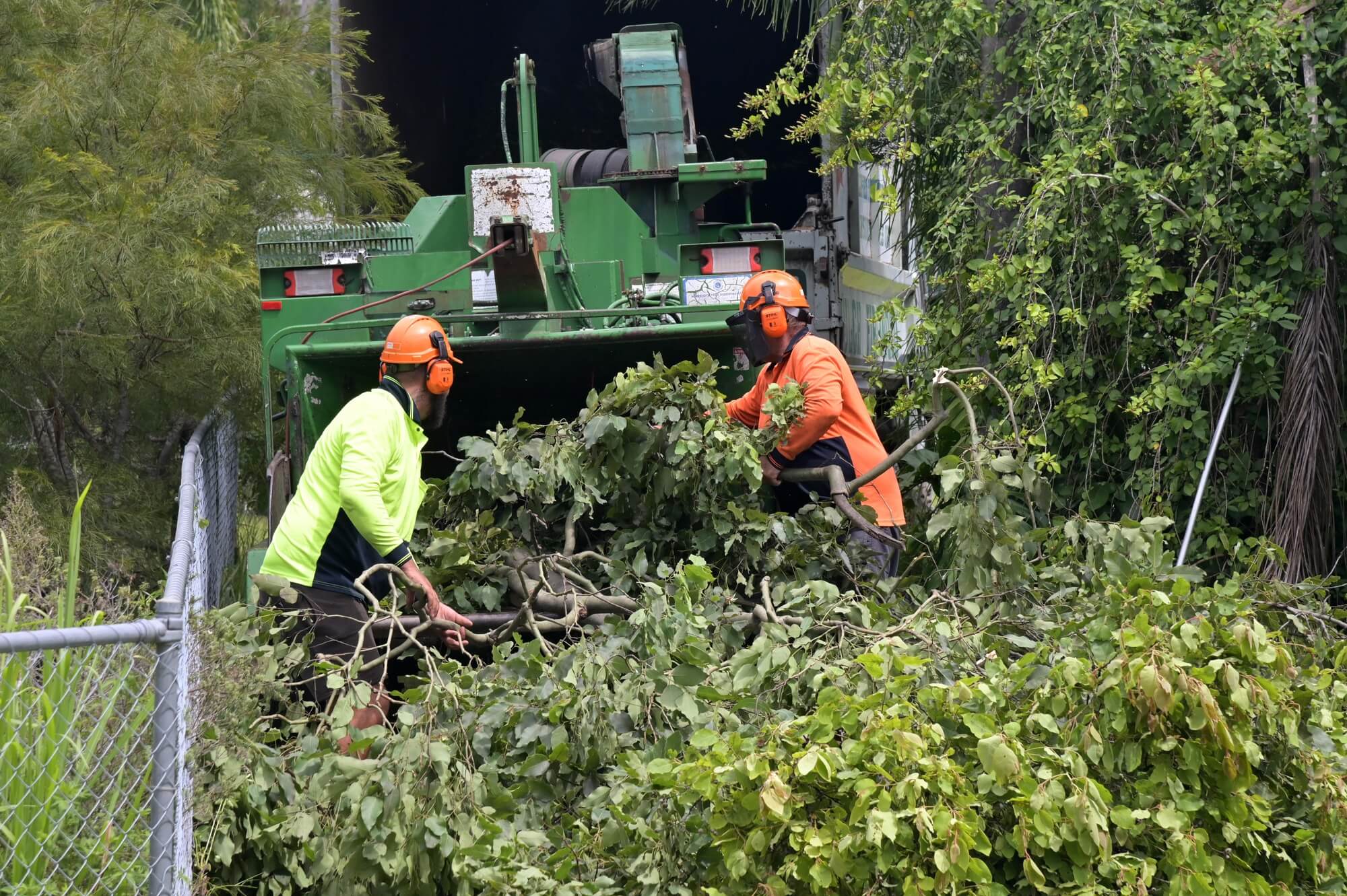 The Complete Guide to Tree Trimming and Removal Service Franchise Opportunities