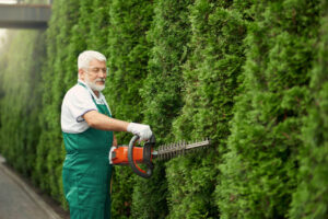 The Complete Guide to Tree Trimming and Removal Service Franchise Opportunities