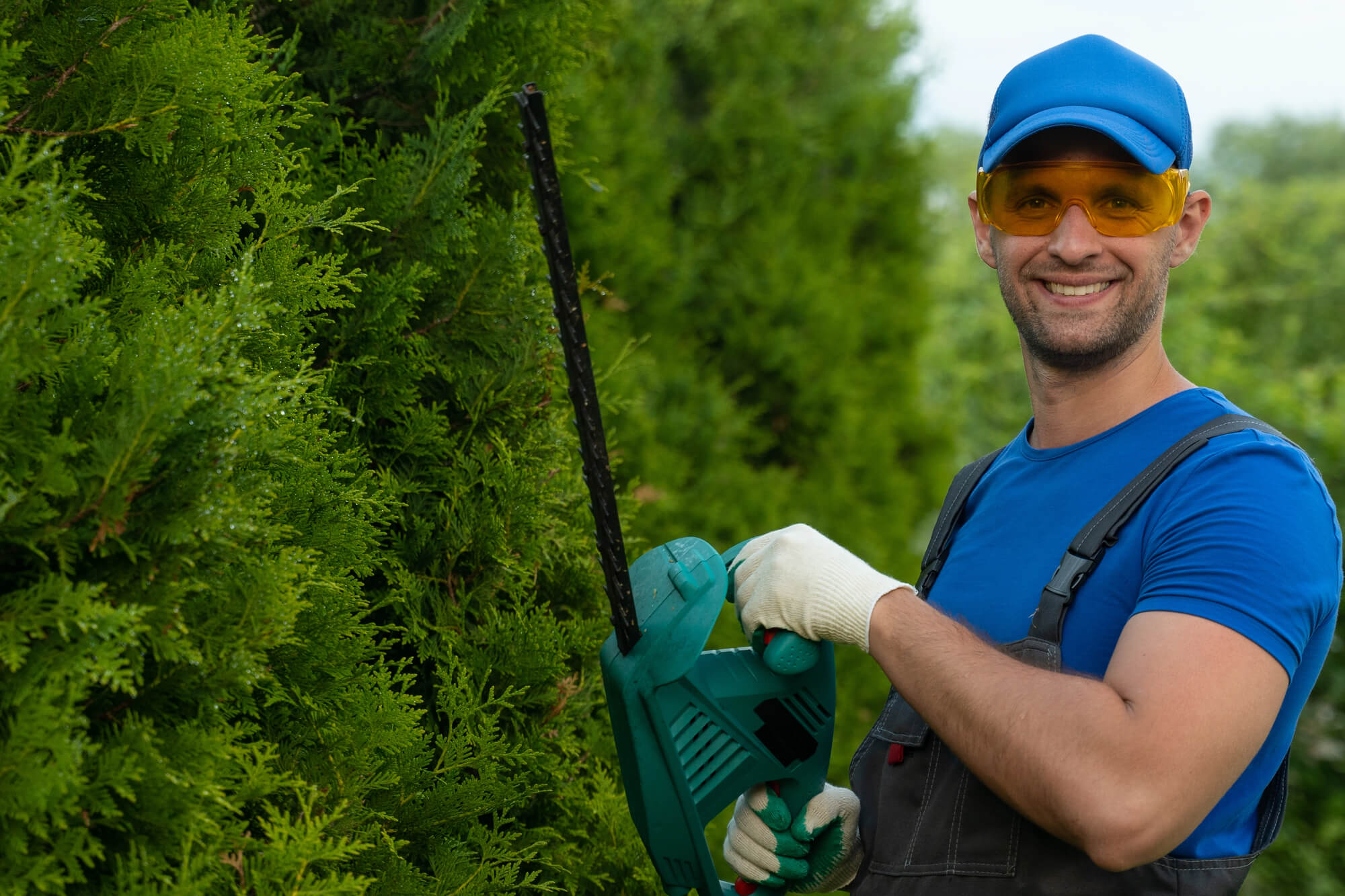 The Complete Guide to Tree Trimming and Removal Service Franchise Opportunities
