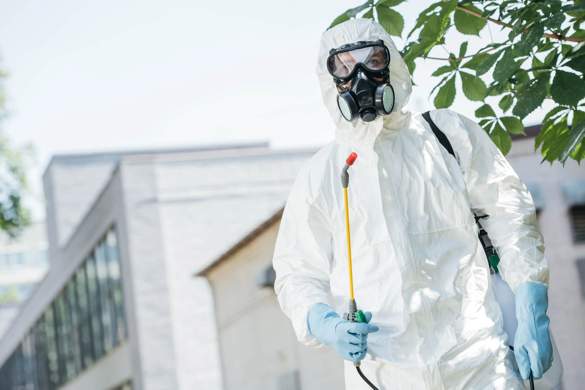 The Complete Guide to Pest Control Franchise Opportunities