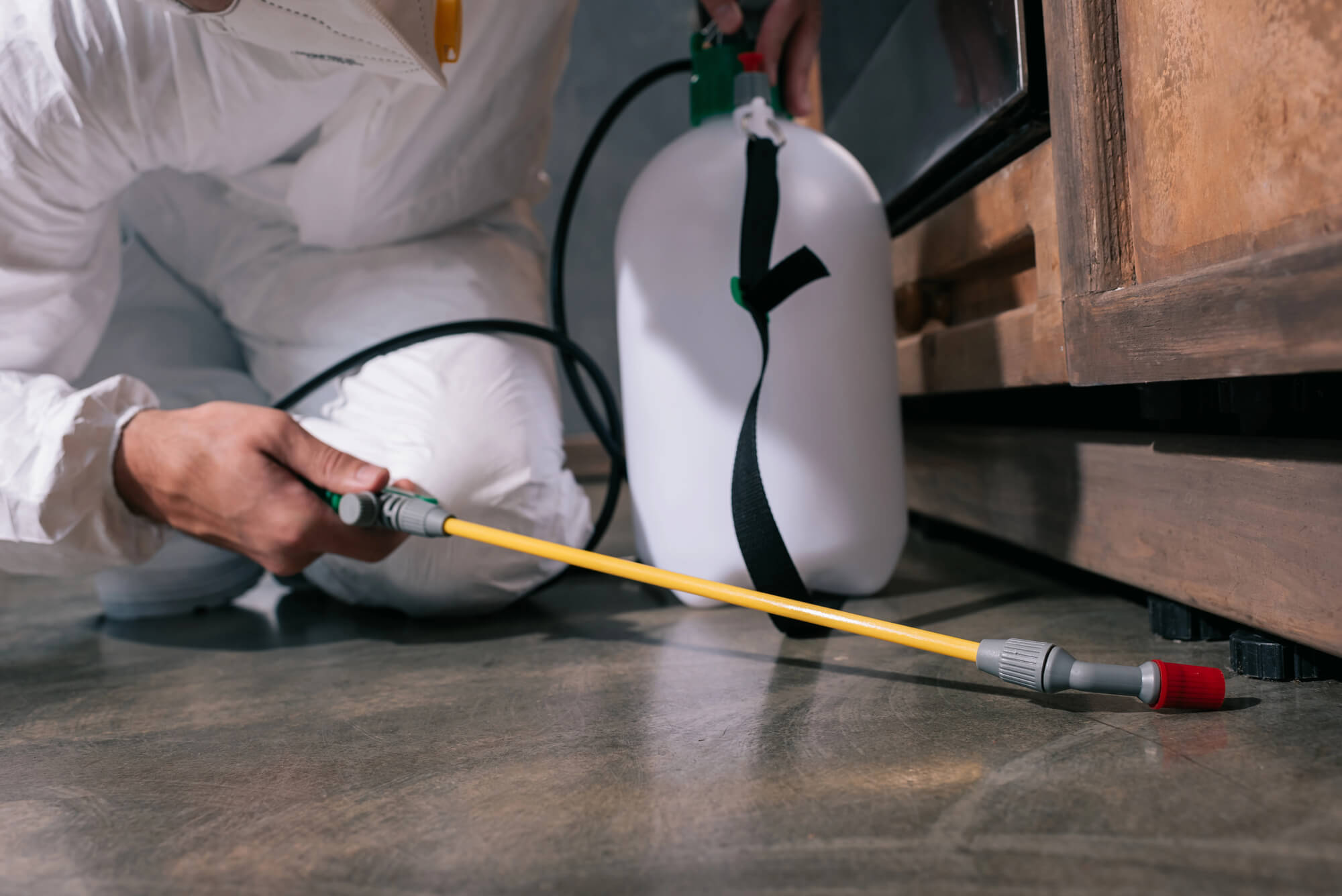 The Complete Guide to Pest Control Franchise Opportunities