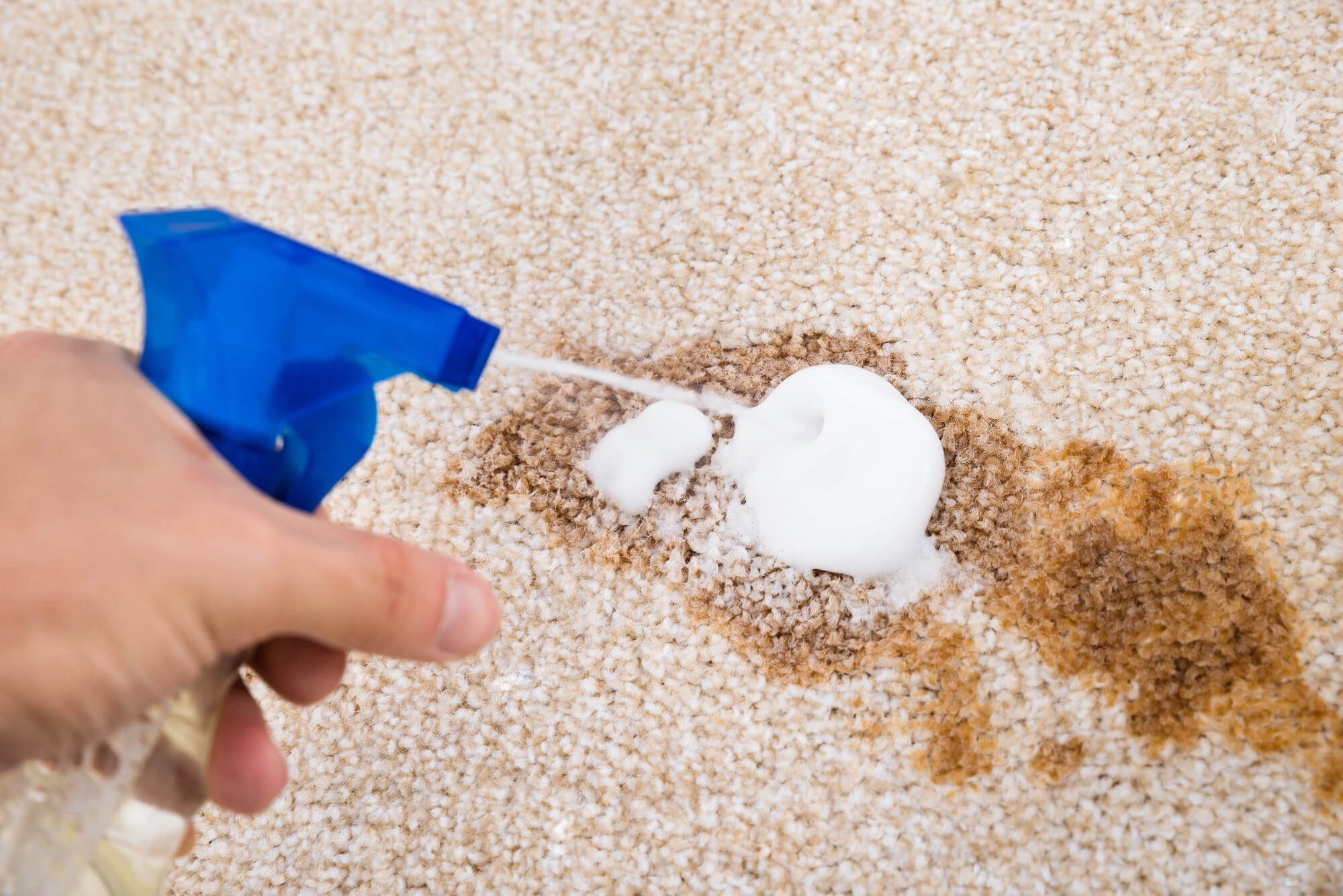 The Complete Guide to Carpet Cleaning Franchise Opportunities
